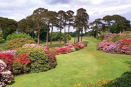 Muckross Gardens